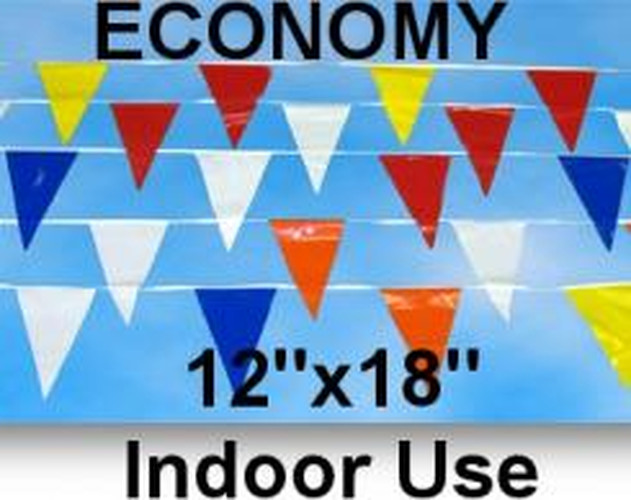 Economy 12x18 Indoor Pennants 50 Feet. #p50