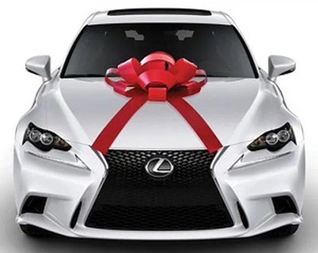 magnetic car bow 30 inch