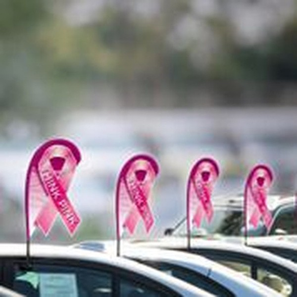 Breast cancer awareness mini 3D teardrop flag kit with suction-cup mount
