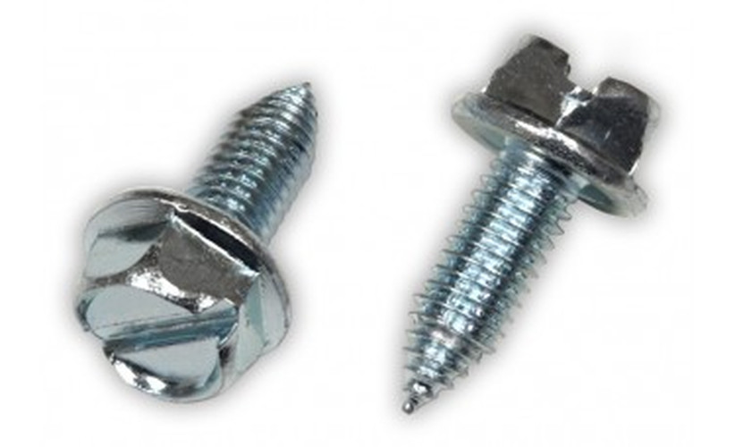 Two metal metric license plate screws with slotted hex heads