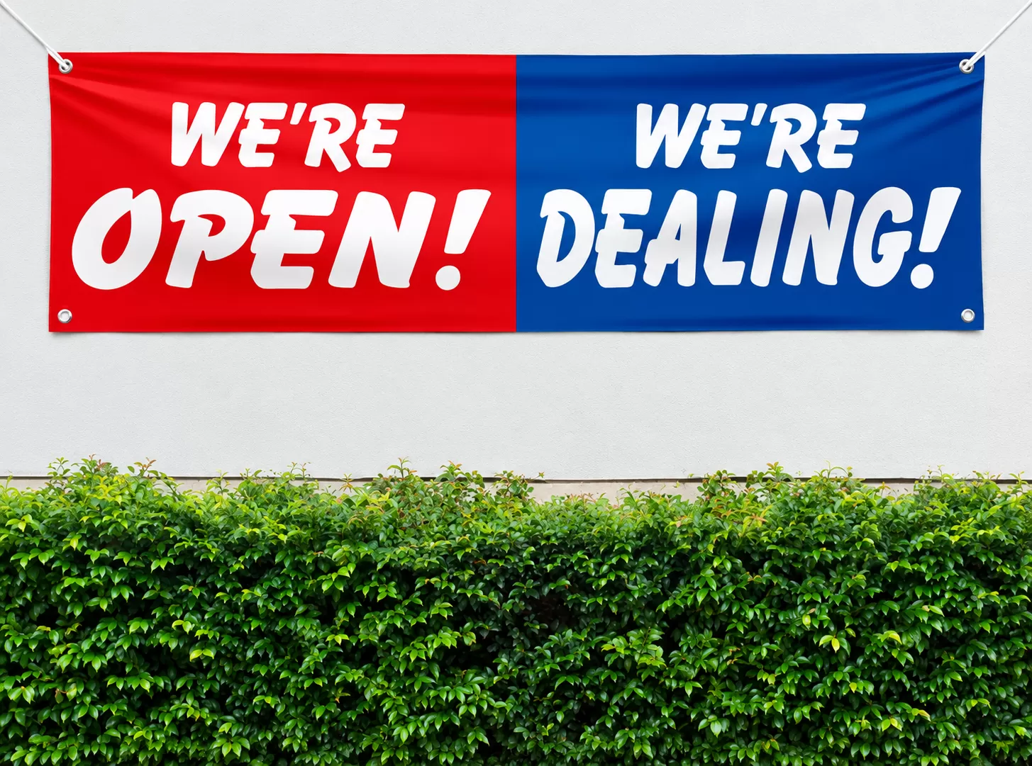 Red and blue banner reading We Are Open and We Are Dealing, tied to a wall above a hedge