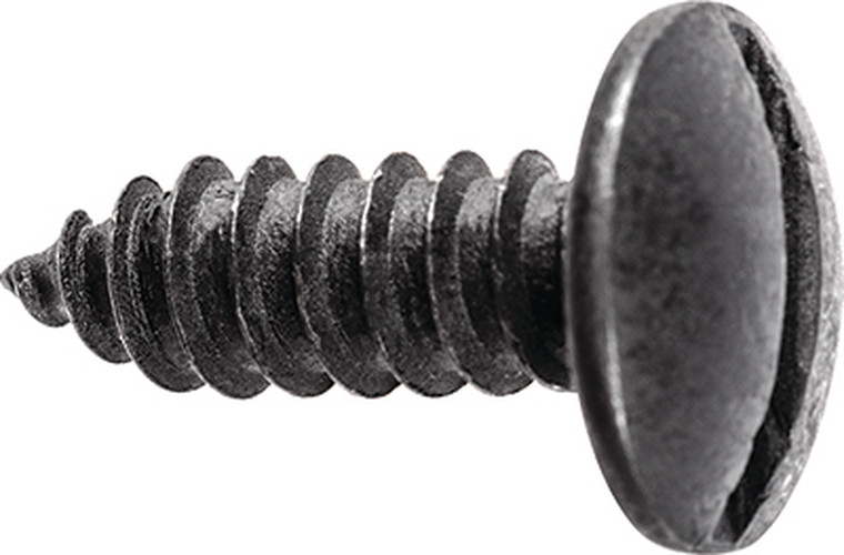 Dark license plate screw with a broad slotted truss head and pointed shaft