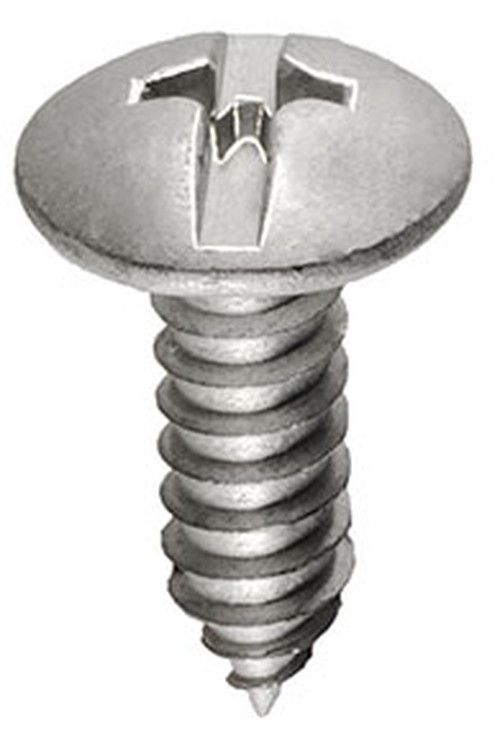 Silver duo-drive license plate screw with a combined slotted and Phillips head