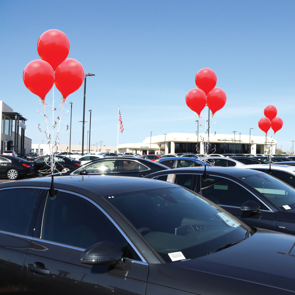 PermaShine Outdoor 3 Balloon Adjustable Car Window Kit