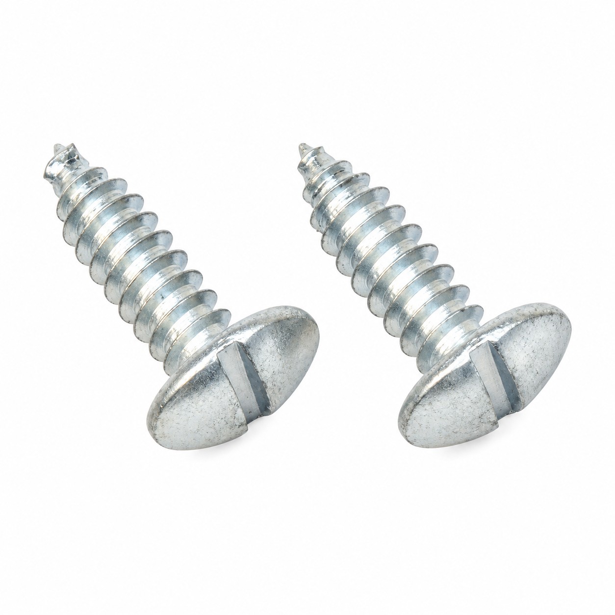Two silver license plate screws with slotted pan heads and pointed shafts