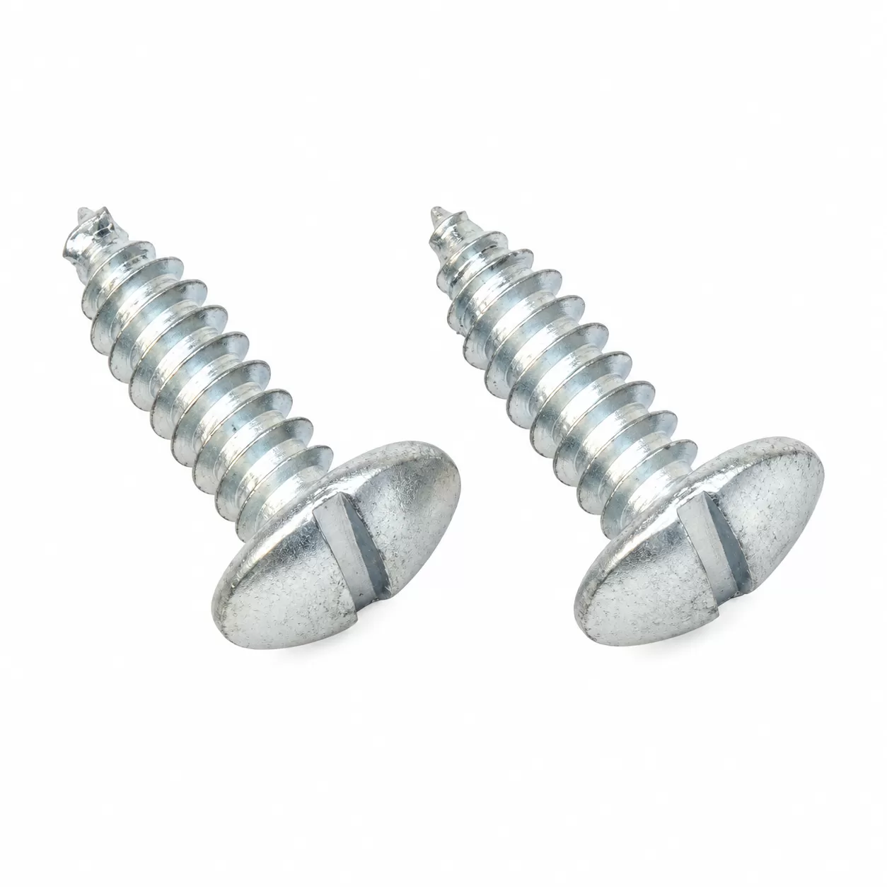 Two silver license plate screws with slotted pan heads and pointed shafts